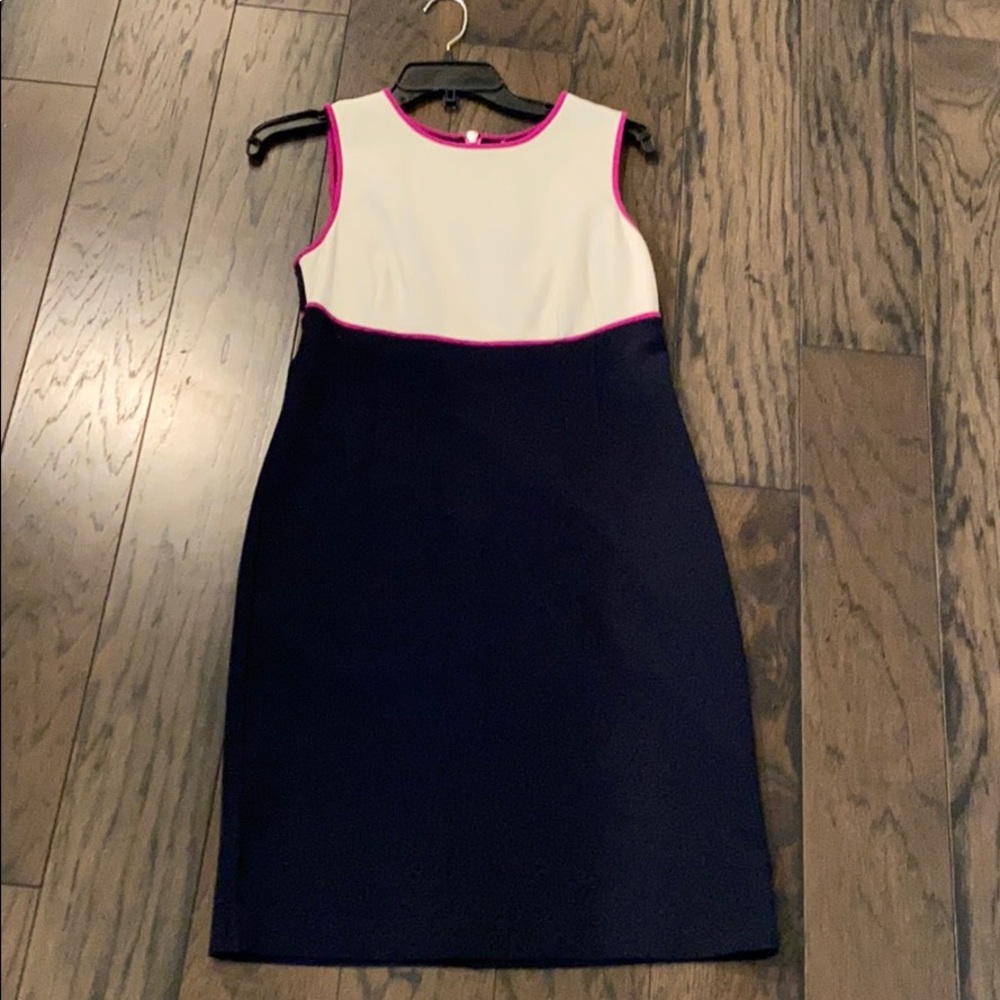 Navy Ann Taylor dress